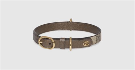 collari cani chiwawa gucci|Medagliette e Collari di Lusso per Cani .